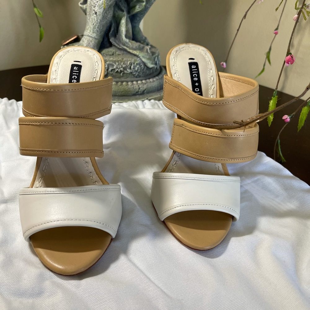 Brand New Pumps